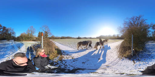 Dreieich Winter Video 1